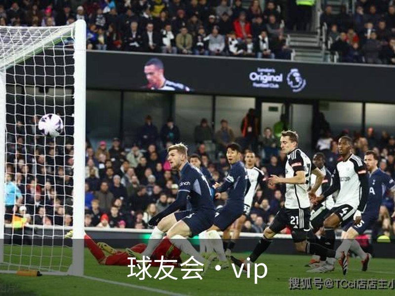 球友会·vip概况